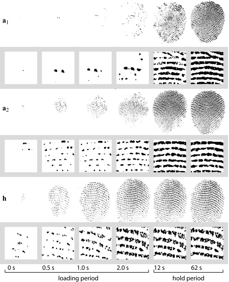 Fig. 1.