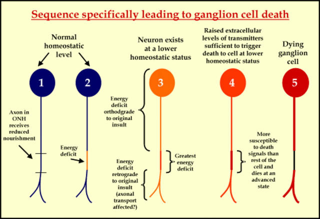 Figure 3  