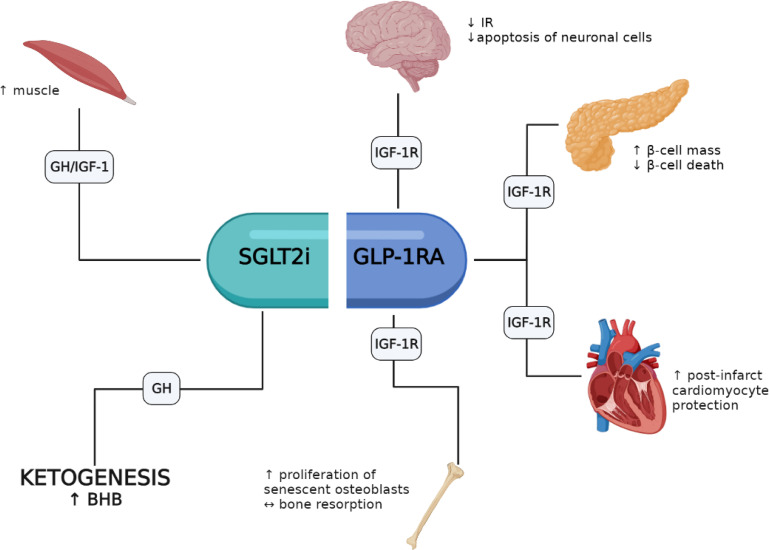 Figure 1