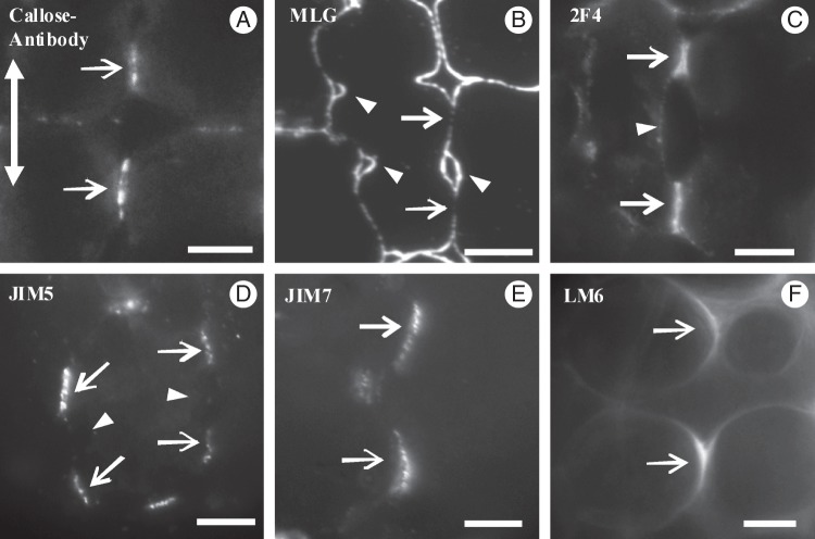 Fig. 9.