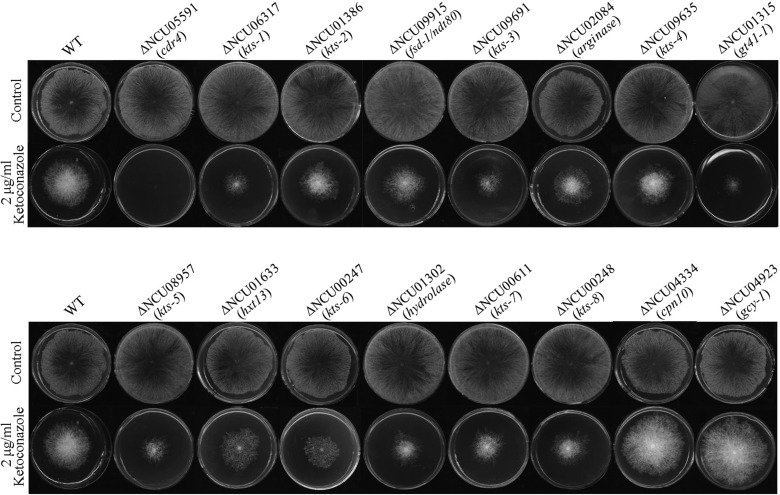 FIG 3