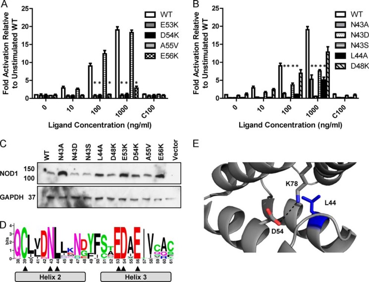 FIGURE 3.