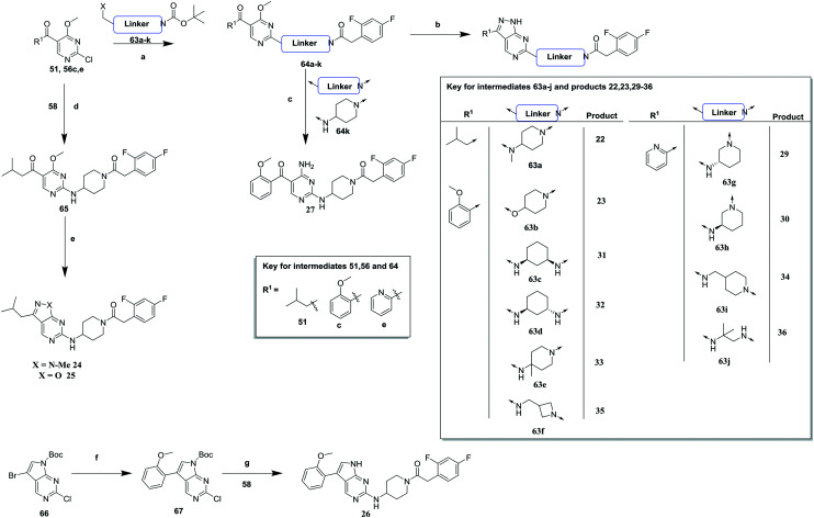 Scheme 3