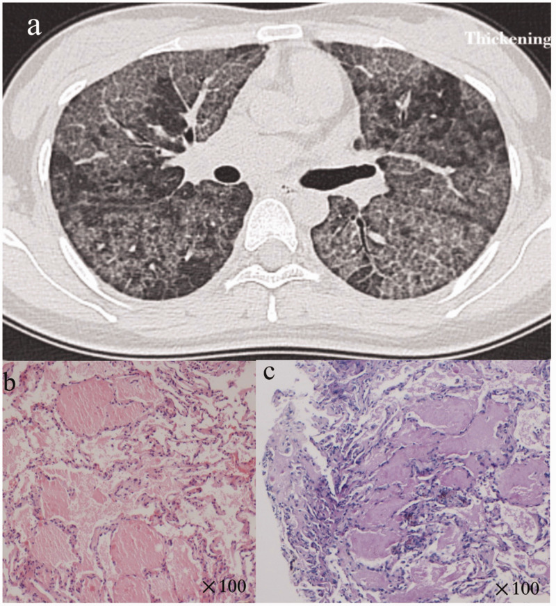 Figure 1.