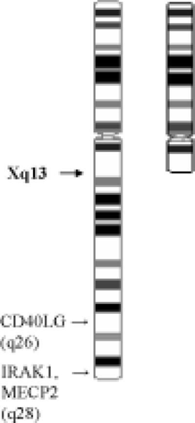 Figure 1B