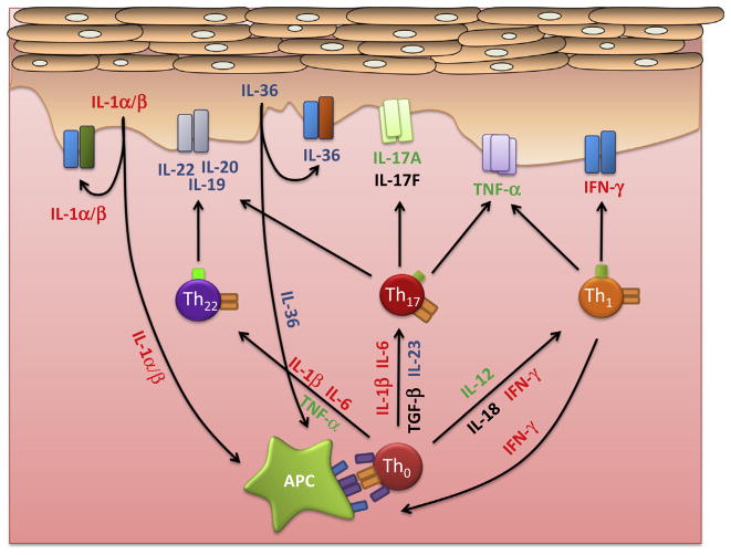 Fig. 3