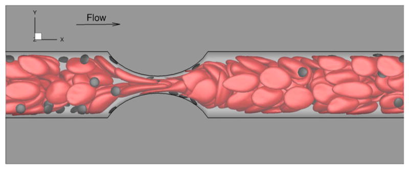 Fig. 5