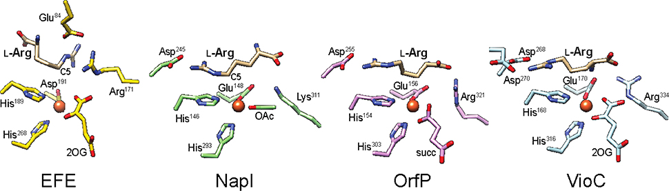 Figure 5.