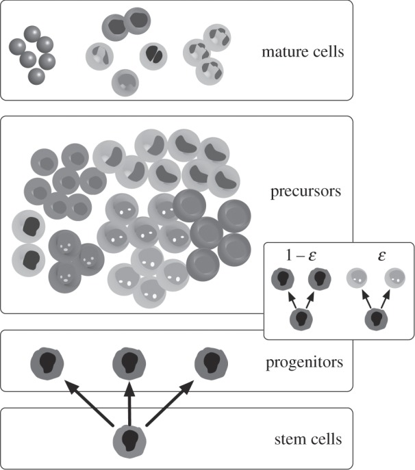 Figure 1.