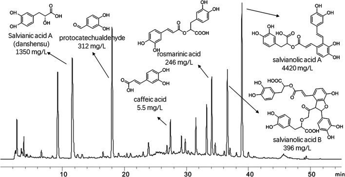 FIGURE 1