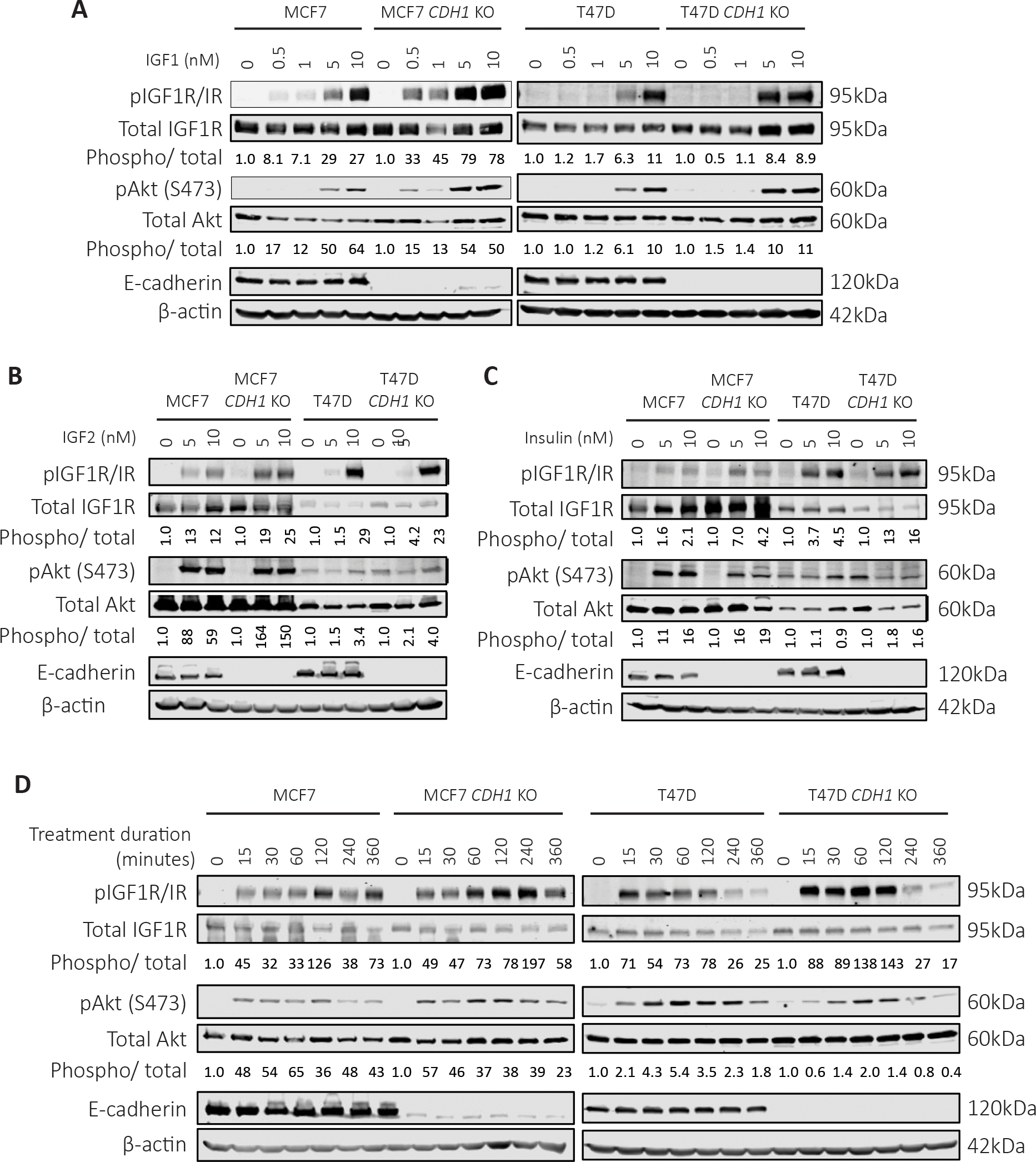 Figure 3: