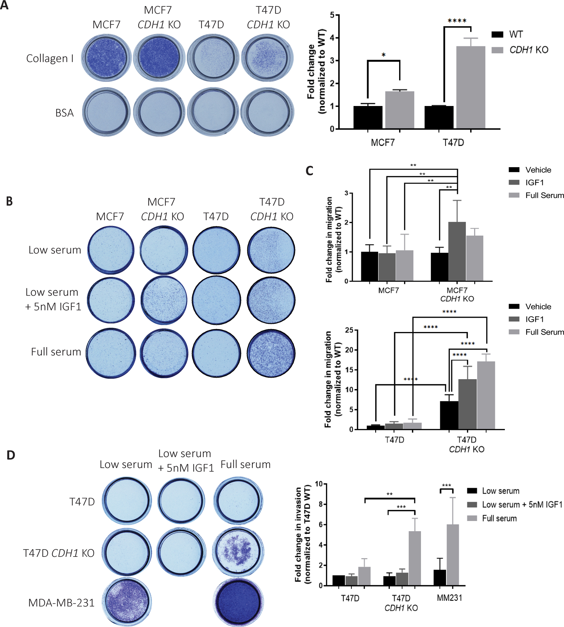 Figure 6: