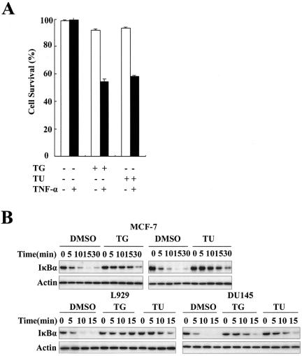 FIG.7.