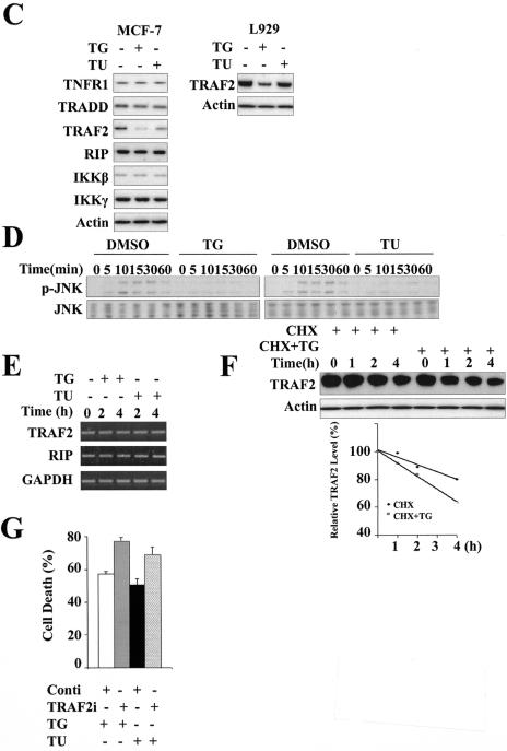 FIG.7.