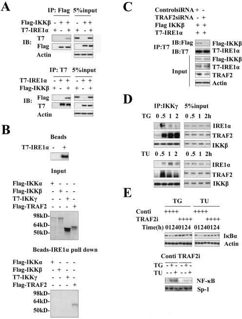 FIG.2.