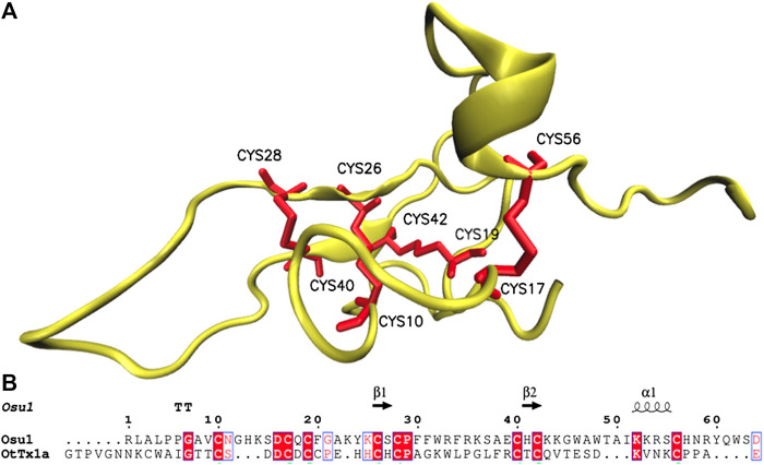 FIGURE 6