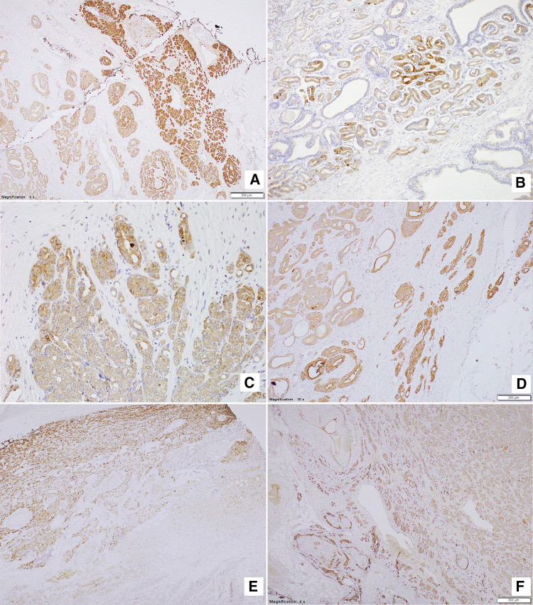 Fig. 8