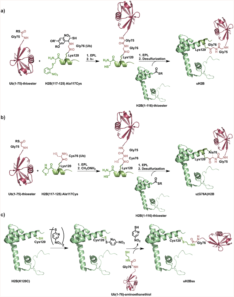 Figure 5.