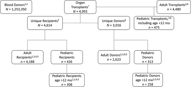 Figure 1: