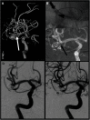 Fig. 5
