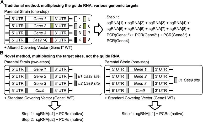 Figure 4