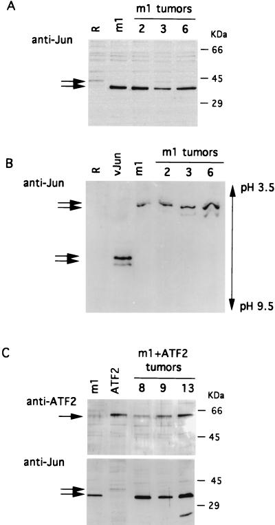 FIG. 8