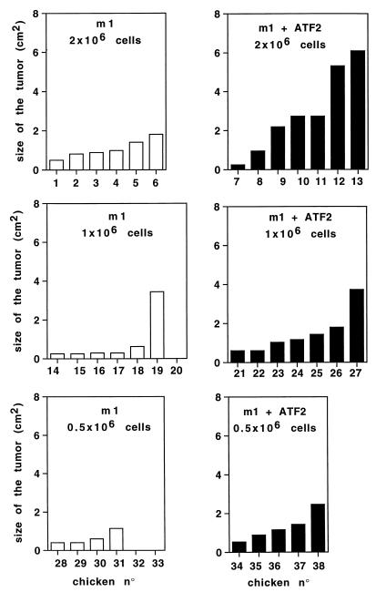 FIG. 7