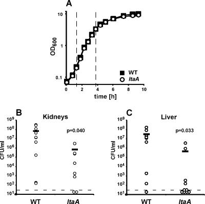 FIG. 8.