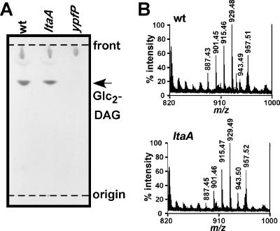 FIG. 4.