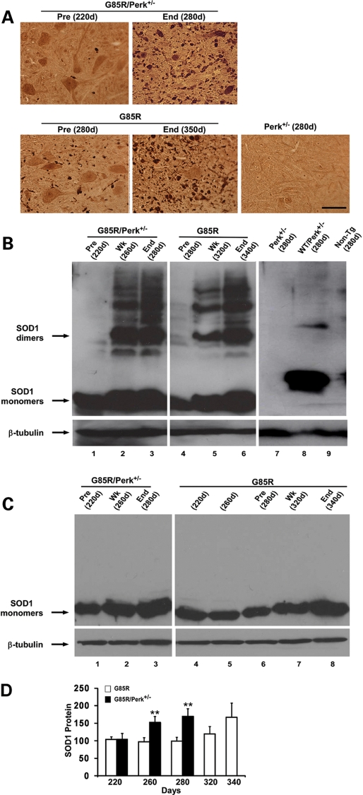 Figure 3.