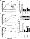 FIG 2