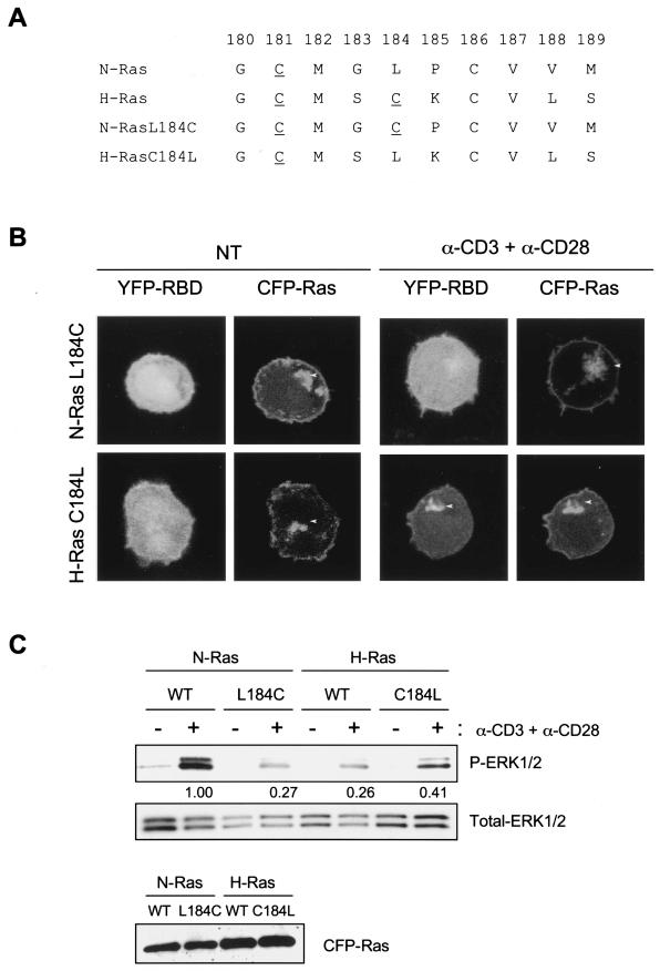 FIG.6.