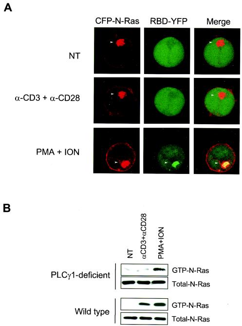 FIG. 7.