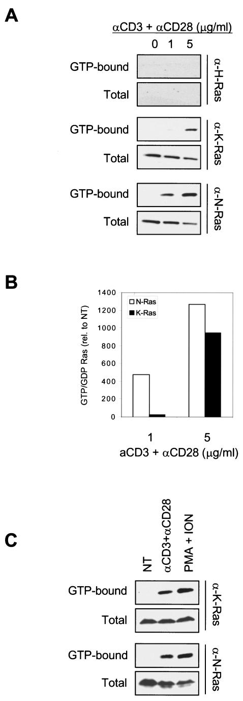 FIG.1.