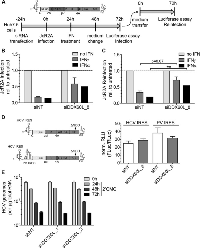 FIG 10