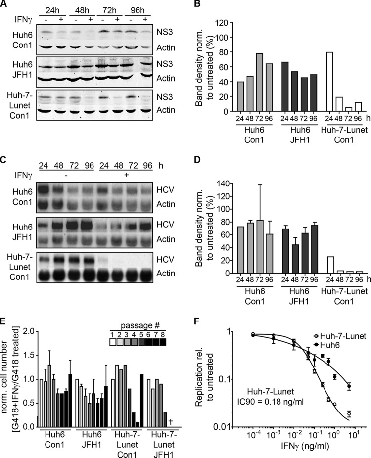 FIG 1