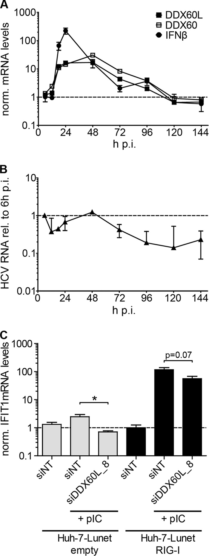 FIG 7