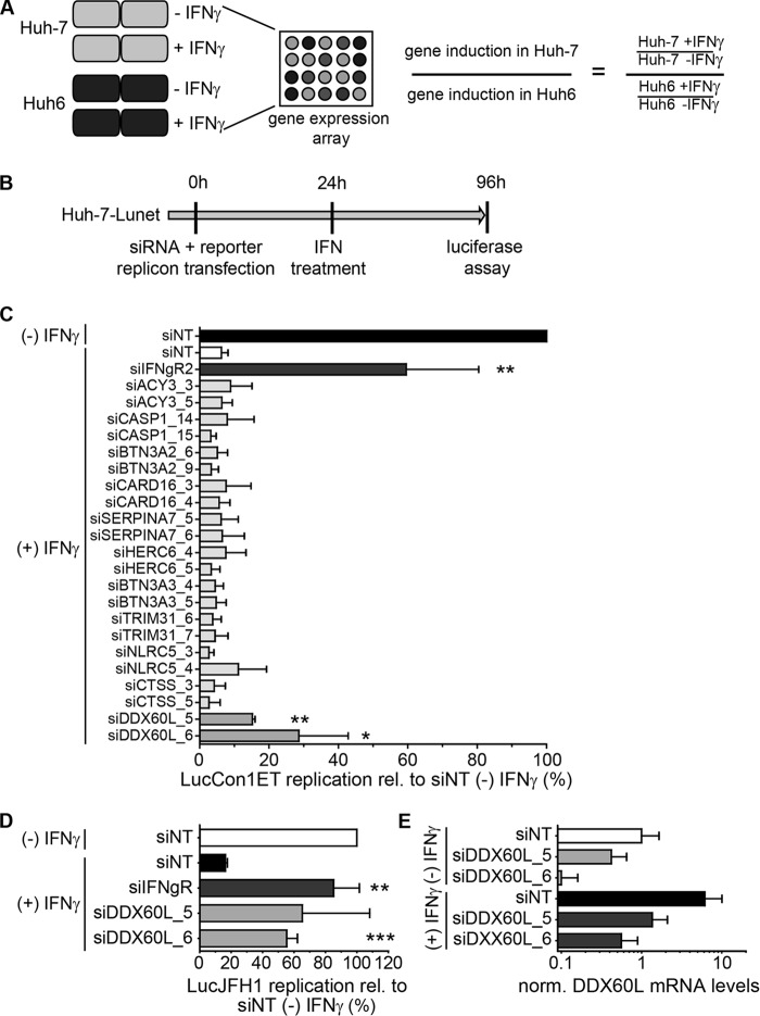 FIG 2