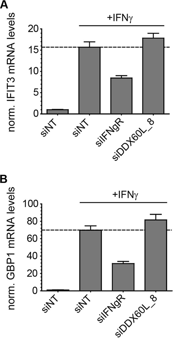 FIG 4