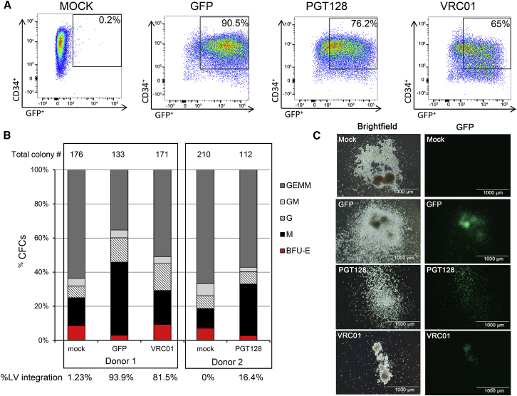 Figure 2