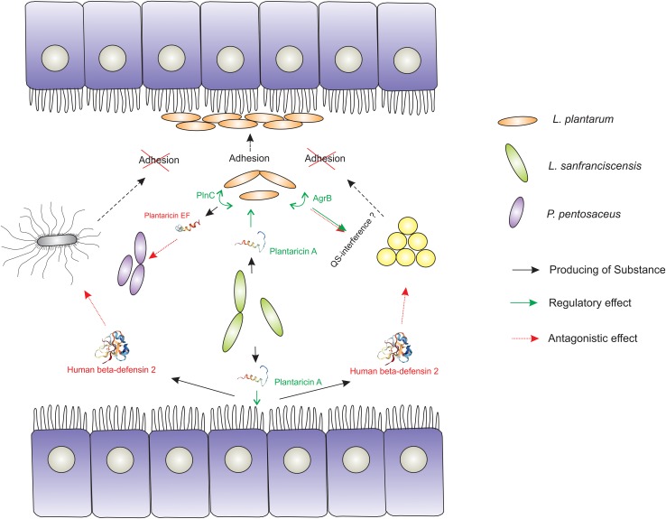 FIGURE 2