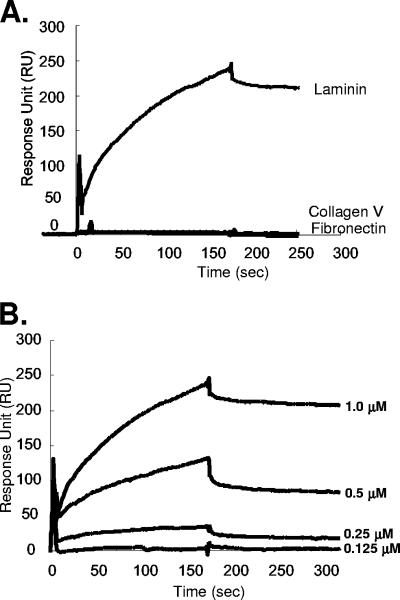 FIG. 7.