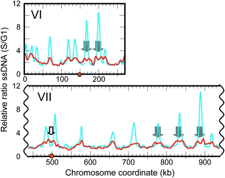 Figure 1.—