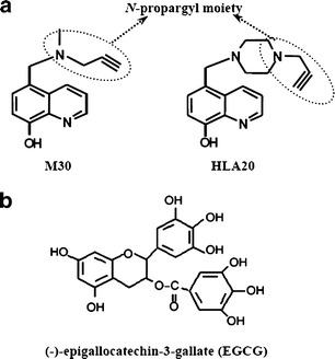 Fig. 1