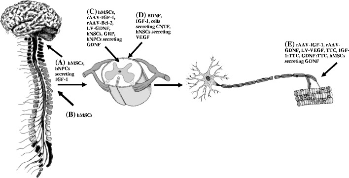 Fig. 5