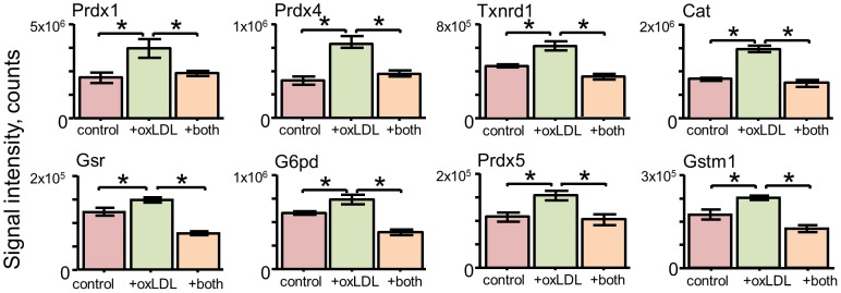 Figure 7