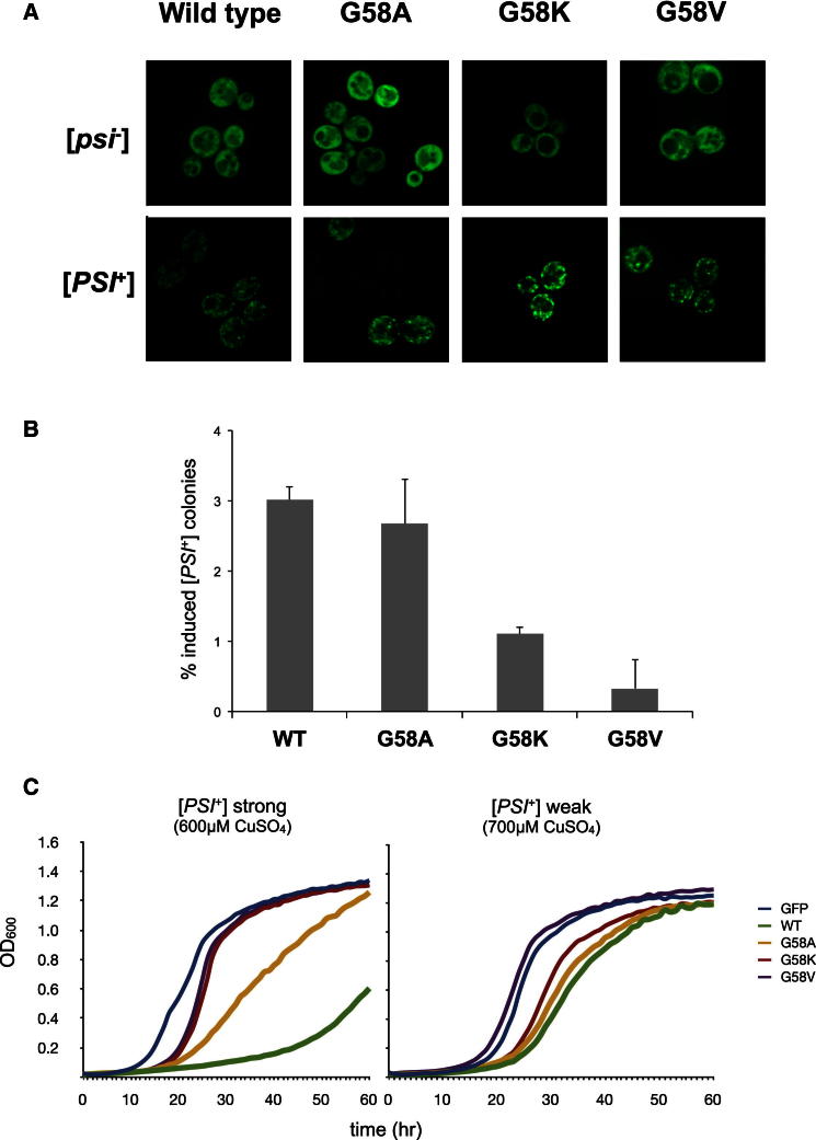 Figure 6