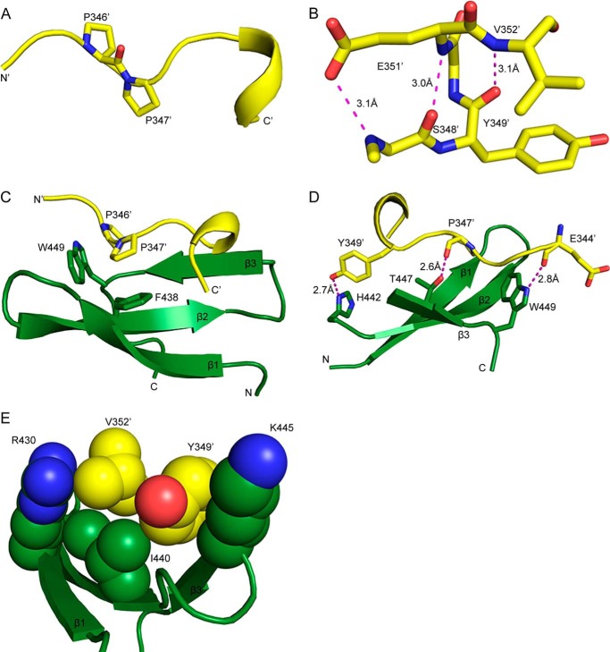 FIGURE 4.