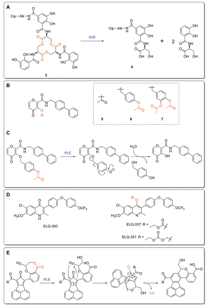 Figure 4: