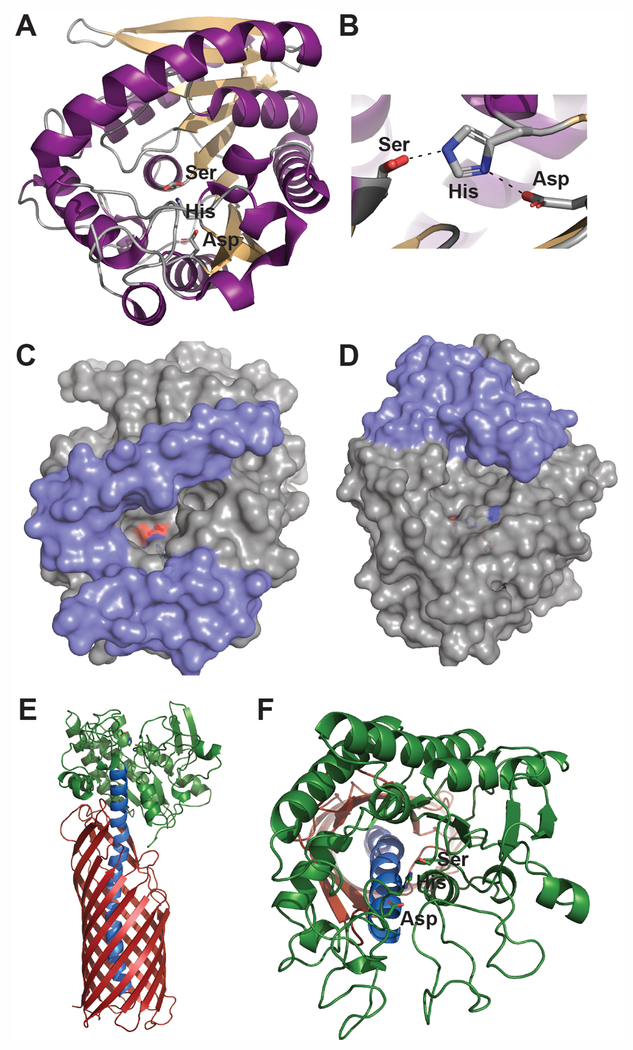 Figure 1: